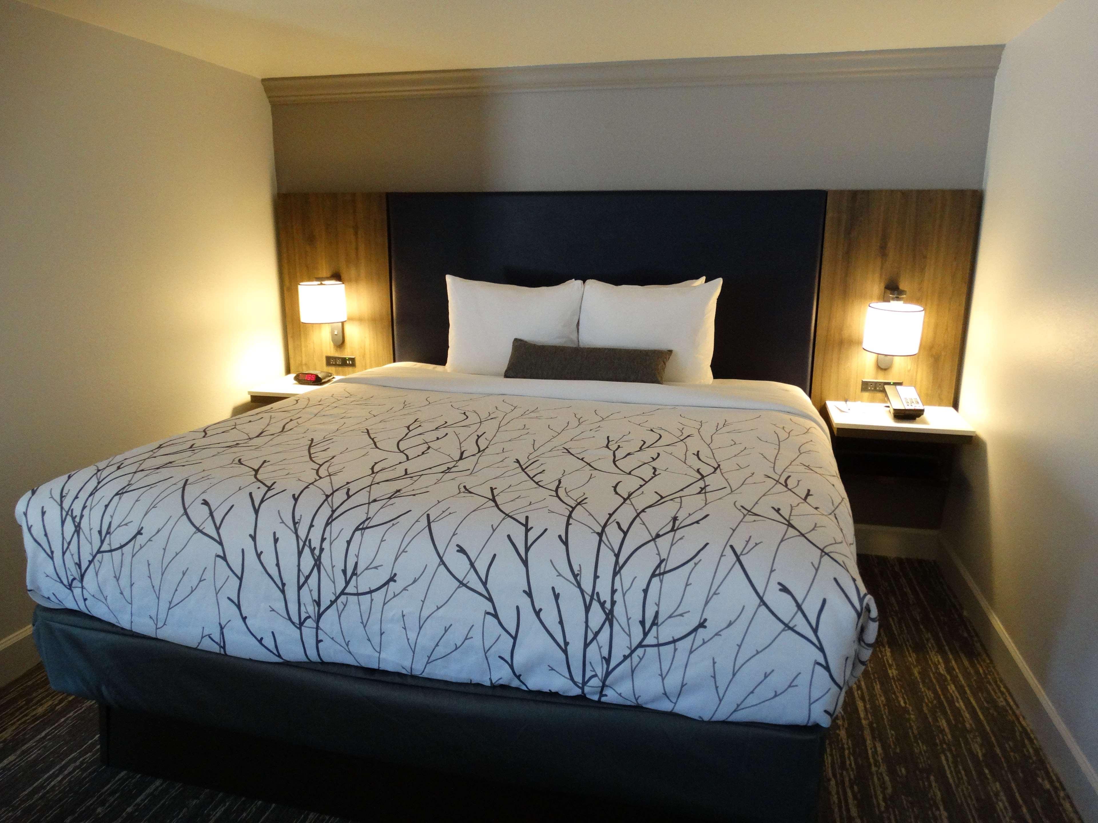 Best Western Premier Denver East Room photo